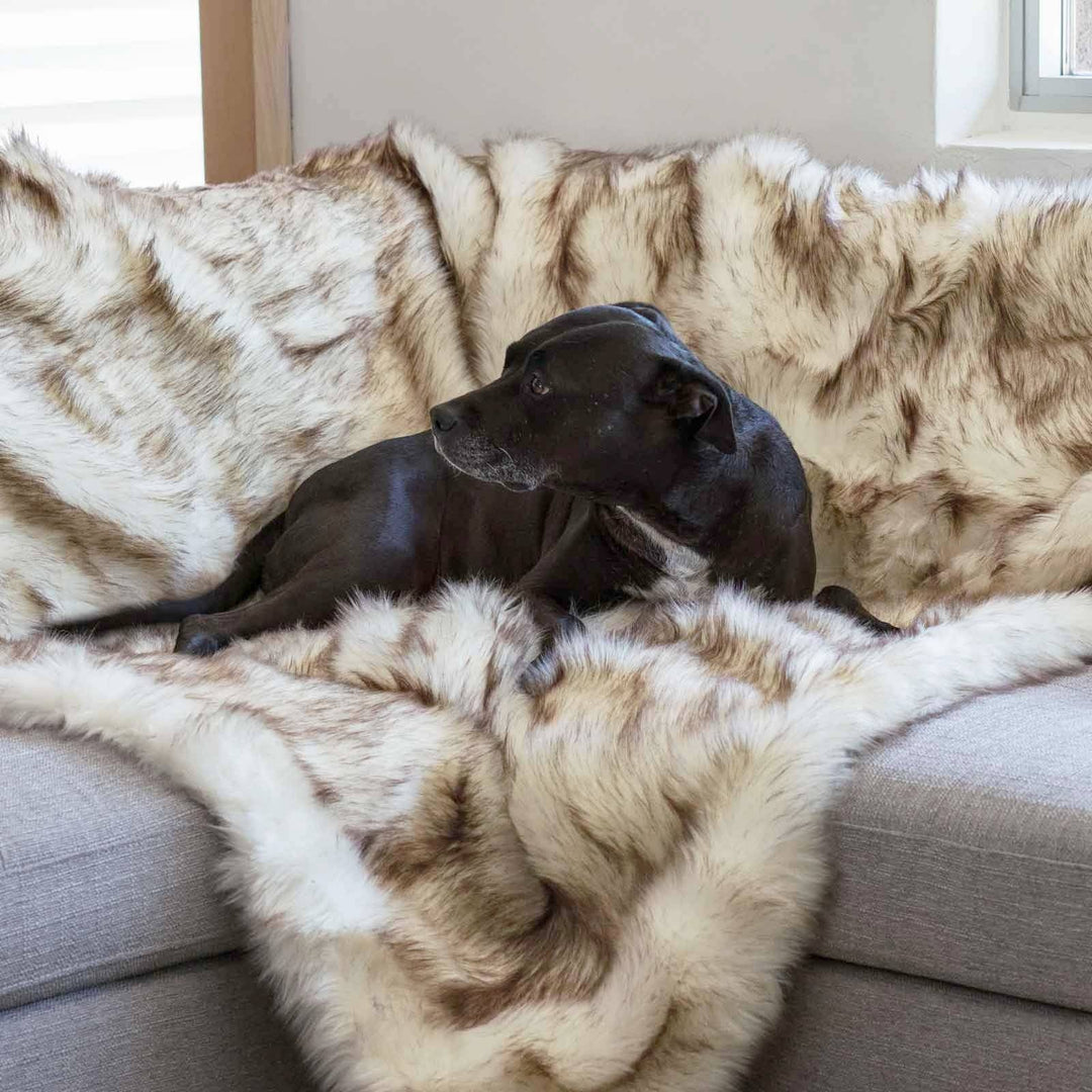 Faux Fur Shag Blanket - Animals Matter, Inc.