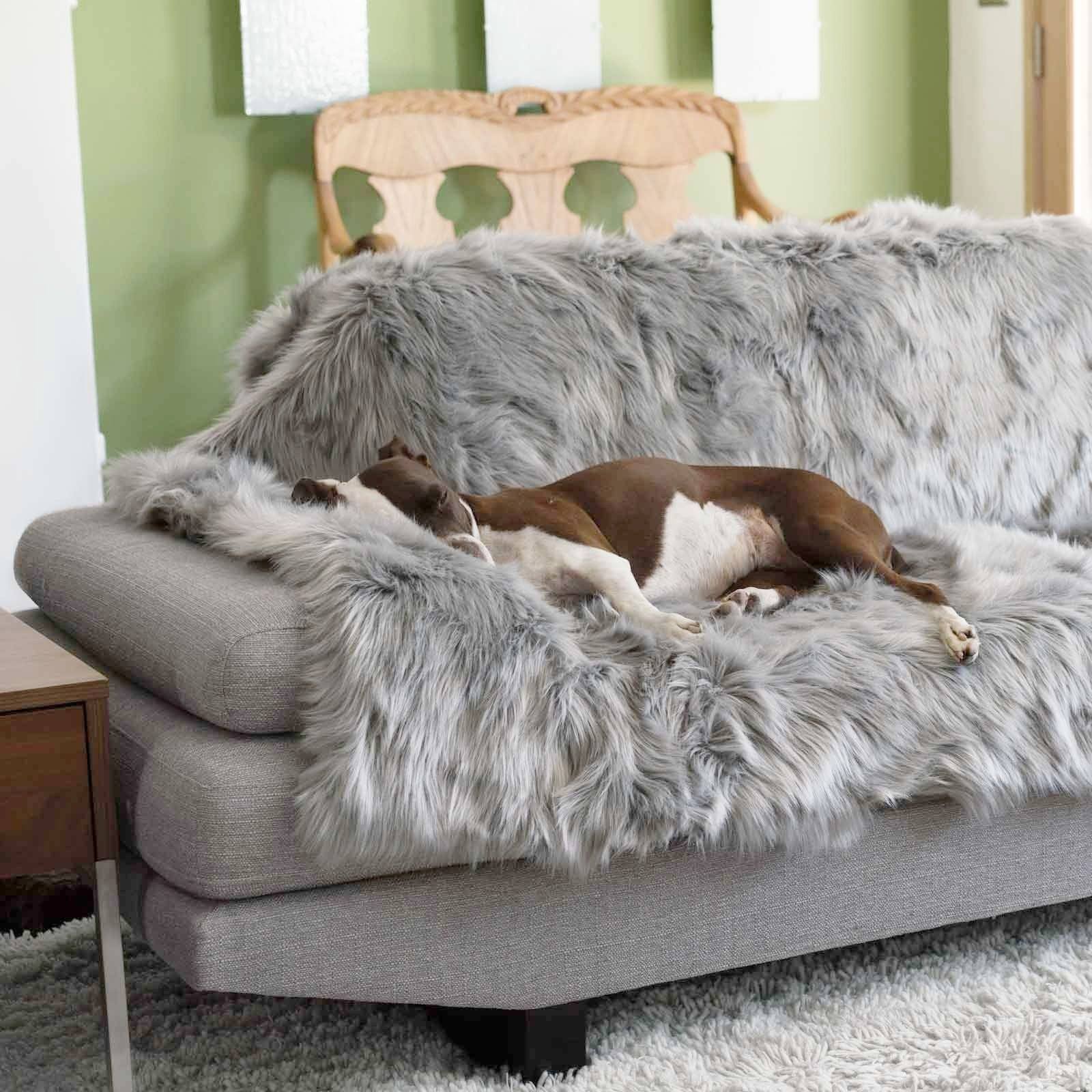 Dog fur blanket hotsell