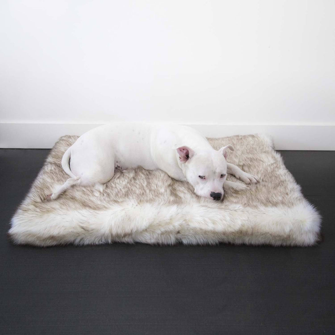 Faux Fur Shag Companion-Pedic® Rectangle Luxury Dog Bed - Animals Matter, Inc.