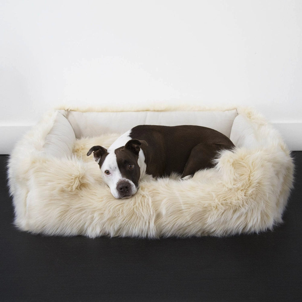 Faux Fur Shag Lounger™ Companion-Pedic® Luxury Dog Bed - Animals Matter, Inc.