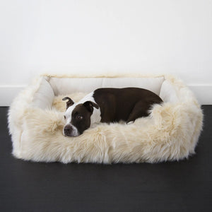 https://animalsmatter.com/cdn/shop/products/faux-fur-shag-lounger-companion-pedic-luxury-dog-bed-771095_300x.jpg?v=1695960369