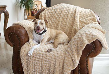 Katie Puff® Blanket - Animals Matter, Inc.