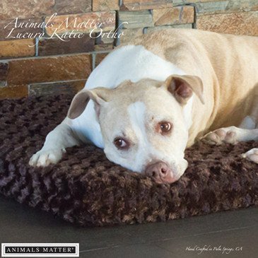 Katie Puff® Ortho Rectangle Companion-Pedic® Luxury Dog Bed - Animals Matter, Inc.