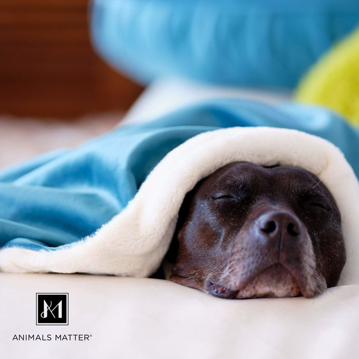 L.A. Dog Company® Ali Blanket® - Animals Matter, Inc.