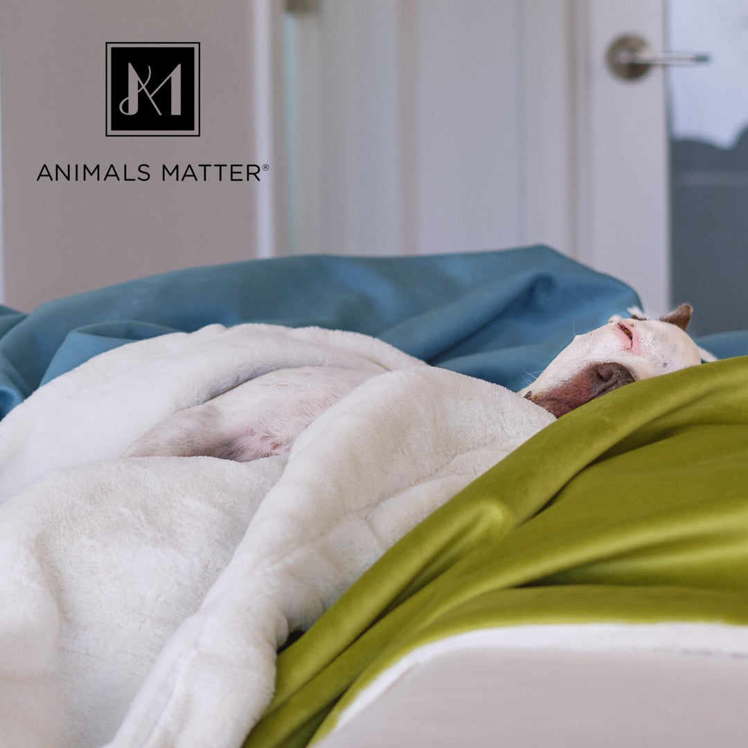 L.A. Dog Company® Ali Blanket® - Animals Matter, Inc.