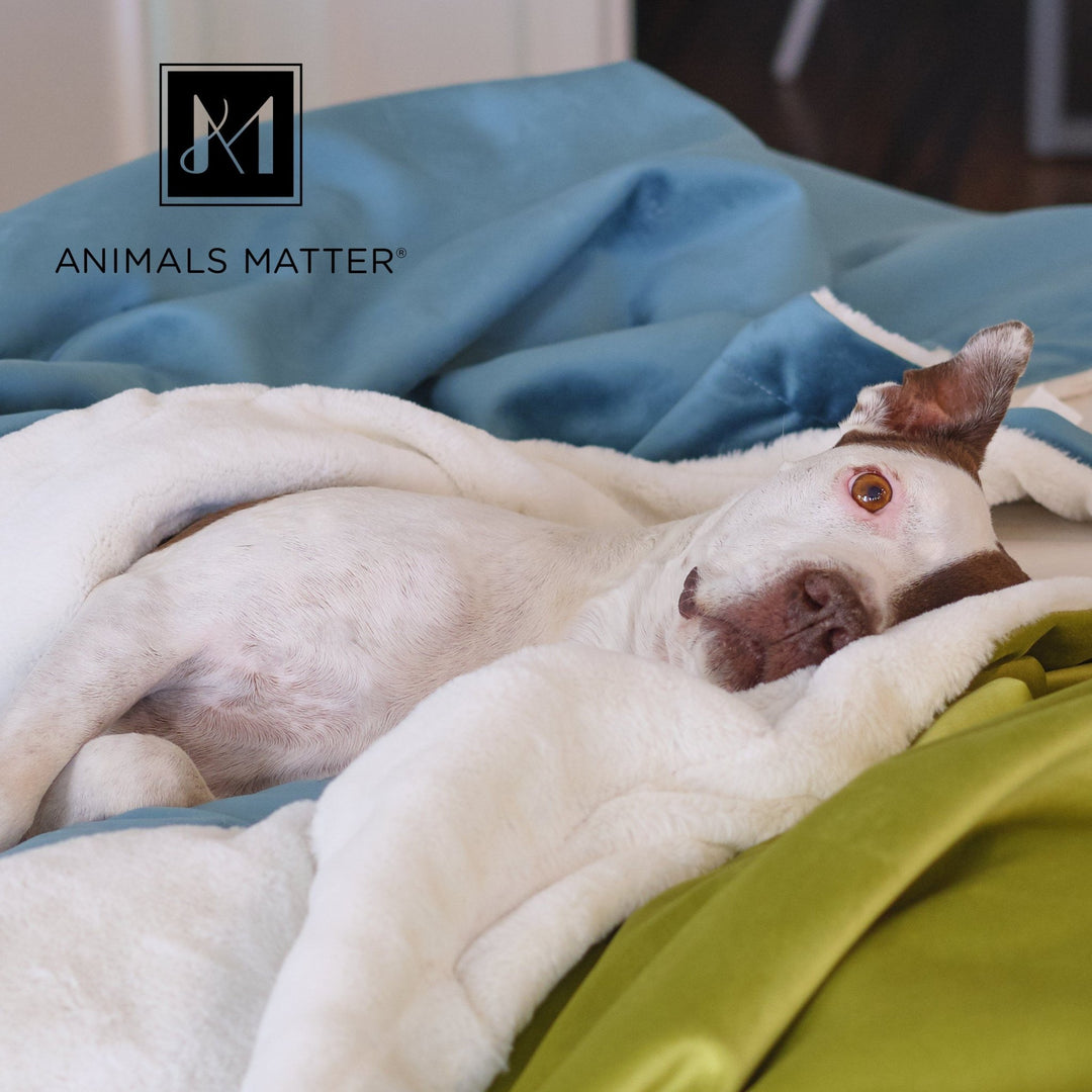 L.A. Dog Company® Ali Blanket® - Animals Matter, Inc.