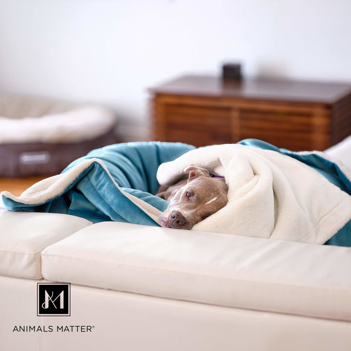 L.A. Dog Company® Ali Blanket® - Animals Matter, Inc.