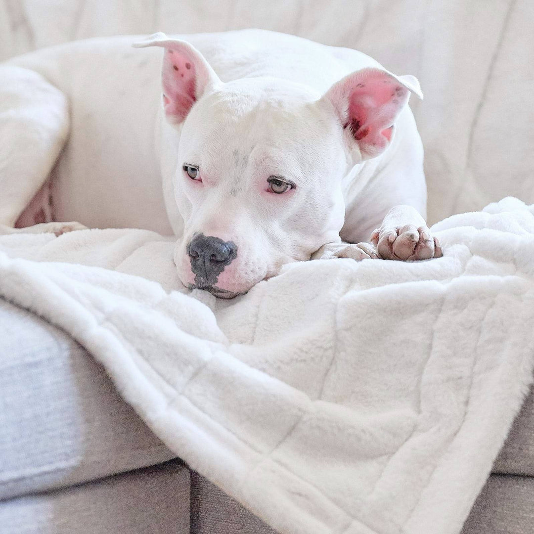 Pearl Puff Blanket - Animals Matter, Inc.