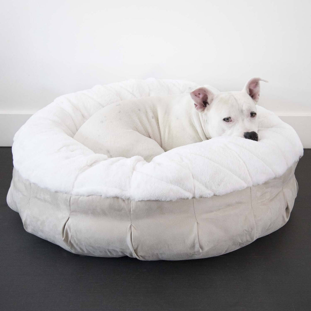 Pearl Puff™ Ortho Companion-Pedic® Luxury Dog Bed - Animals Matter, Inc.