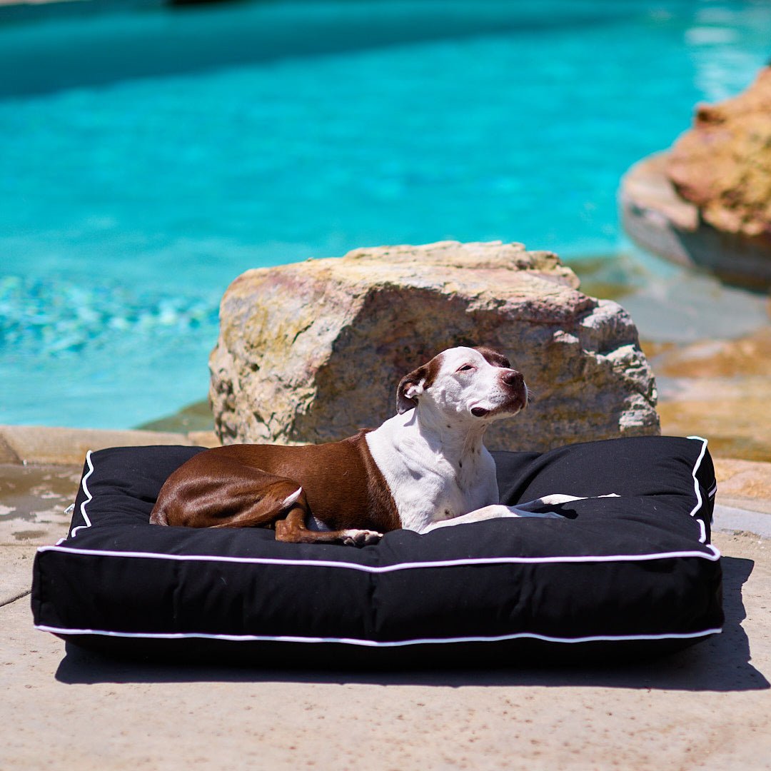 Raine Outdoor Floor Pillow® - Animals Matter, Inc.