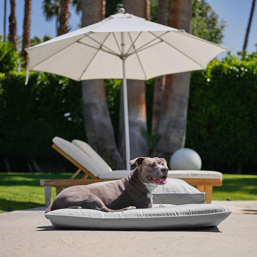 Raine Outdoor Futon® - Animals Matter, Inc.