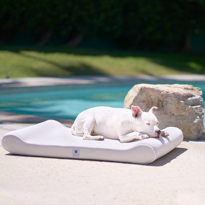 Raine Outdoor Ortho Companion-Pedic® Contour Lounger™ with Waterproof Cover - Animals Matter, Inc.