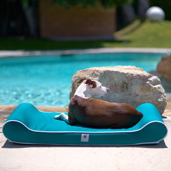 Raine Outdoor Ortho Companion-Pedic® Contour Lounger™ with Waterproof Cover - Animals Matter, Inc.