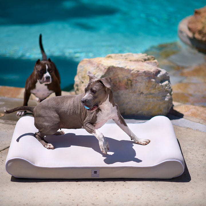 Raine Outdoor Ortho Companion-Pedic® Contour Lounger™ with Waterproof Cover - Animals Matter, Inc.