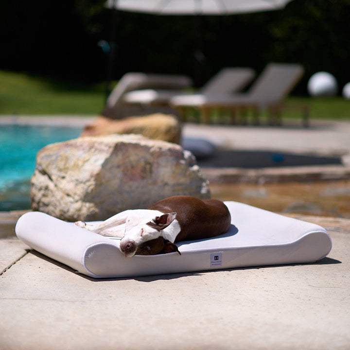 Raine Outdoor Ortho Companion-Pedic® Contour Lounger™ with Waterproof Cover - Animals Matter, Inc.