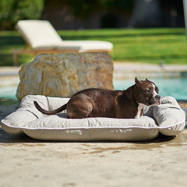 Animals Matter Raine Outdoor Floor Pillow Beach / Large | Premium Pet Supplies for Dogs & Puppies