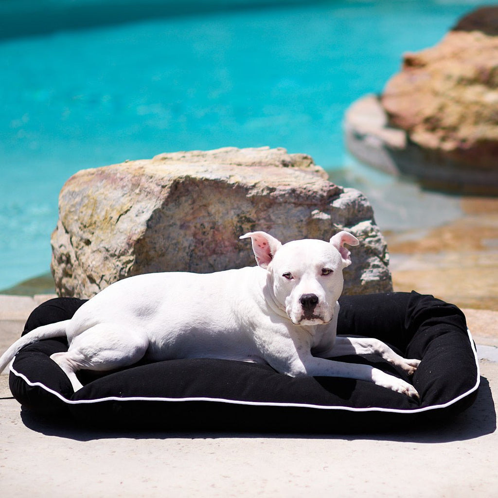 Animals Matter Raine Outdoor Floor Pillow Beach / Large | Premium Pet Supplies for Dogs & Puppies