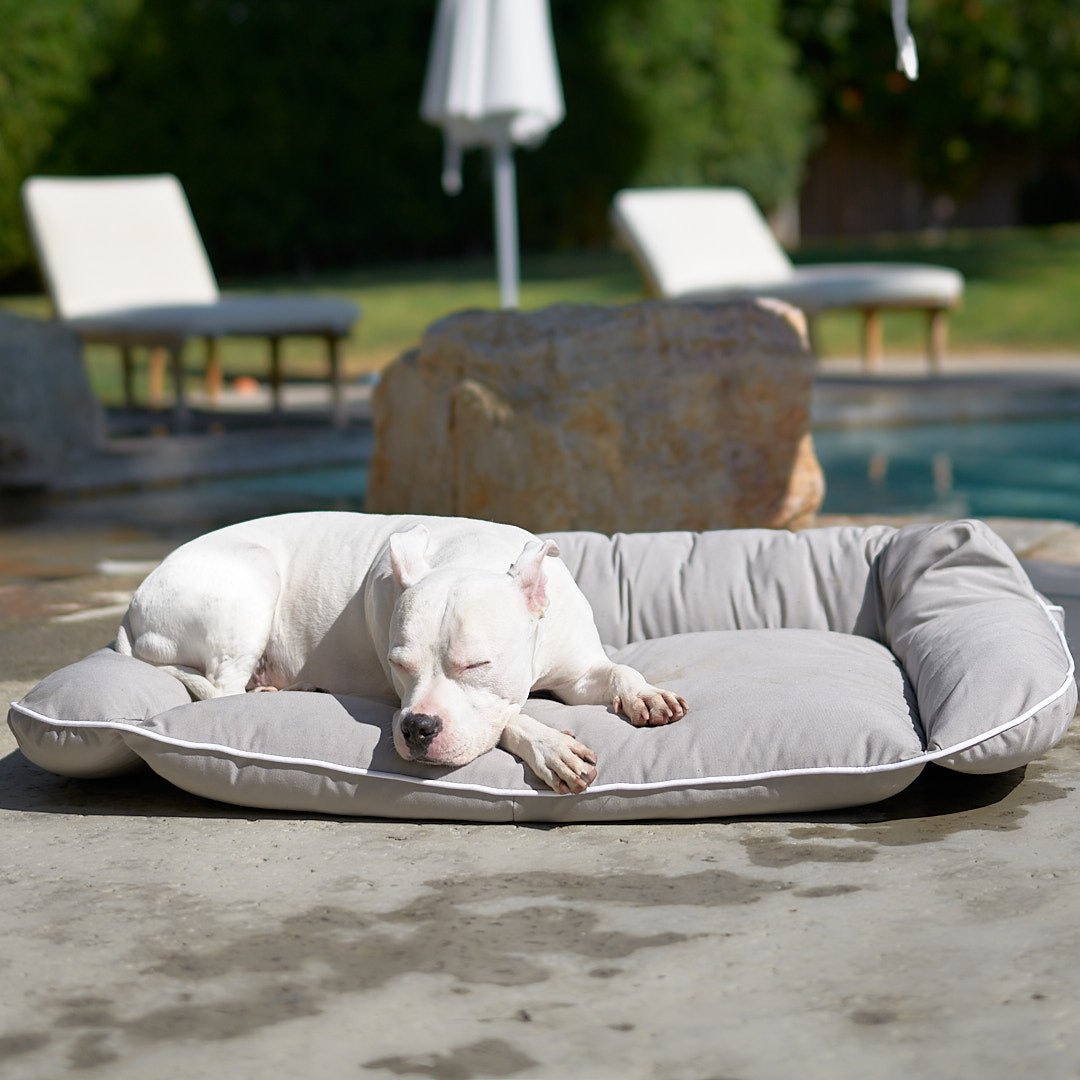 Animals Matter Raine Outdoor Floor Pillow Beach / Large | Premium Pet Supplies for Dogs & Puppies