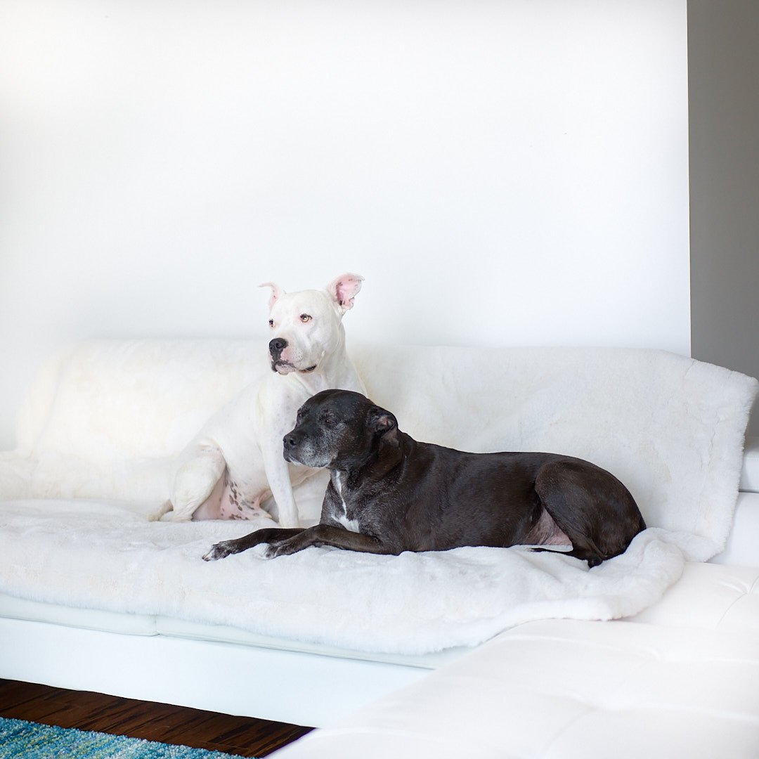 Ruby Puff® Luxury Dog Blanket - Animals Matter, Inc.