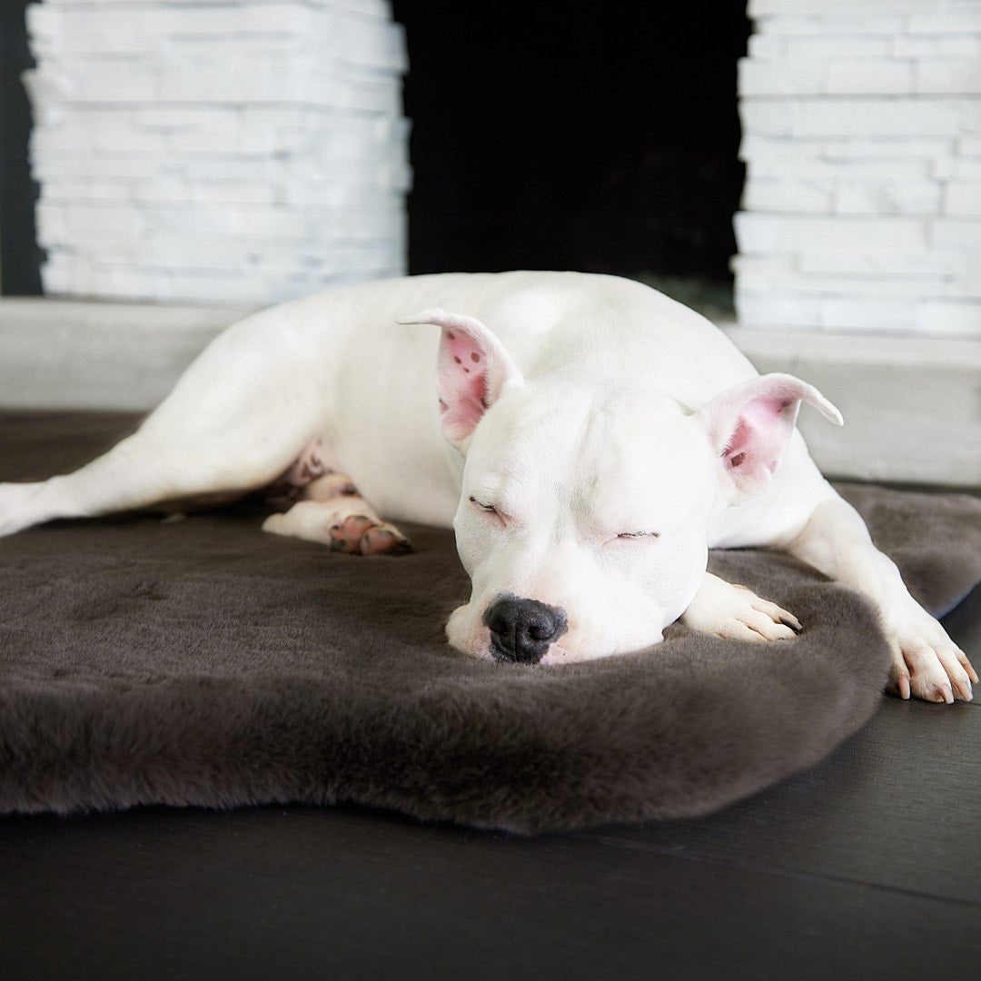 Ruby Puff® Ortho Companion-Pedic® Luxury Dog Bed Rug - Animals Matter, Inc.