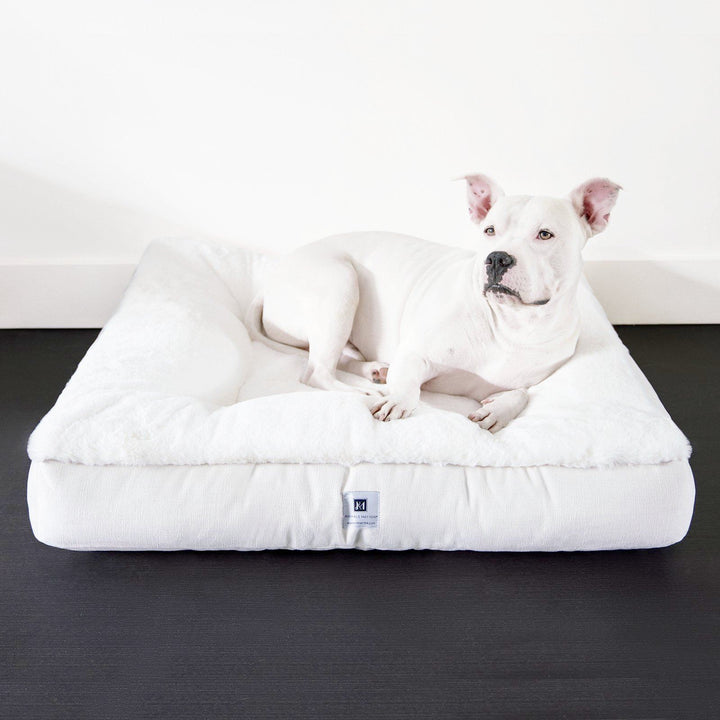 Ruby Puff® Square Ortho Companion-Pedic® Luxury Faux Fur Dog Bed - Animals Matter, Inc.