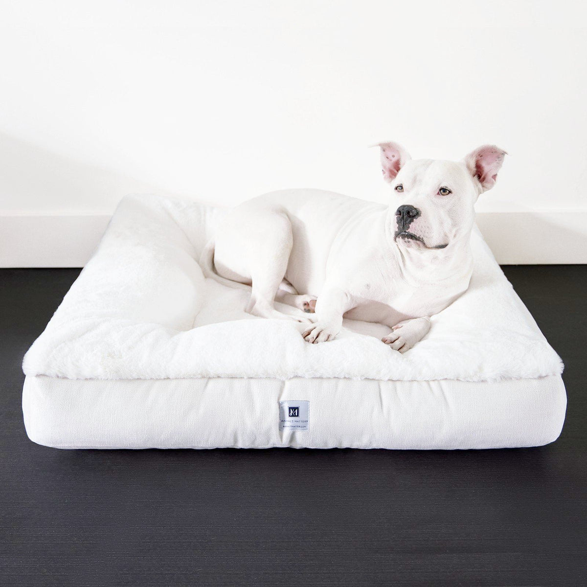 https://animalsmatter.com/cdn/shop/products/ruby-puff-square-ortho-companion-pedic-luxury-faux-fur-dog-bed-622515_1200x.jpg?v=1694441258